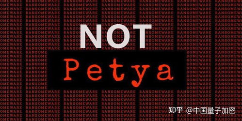 大力發展信息安全技術，積極應對網絡攻擊